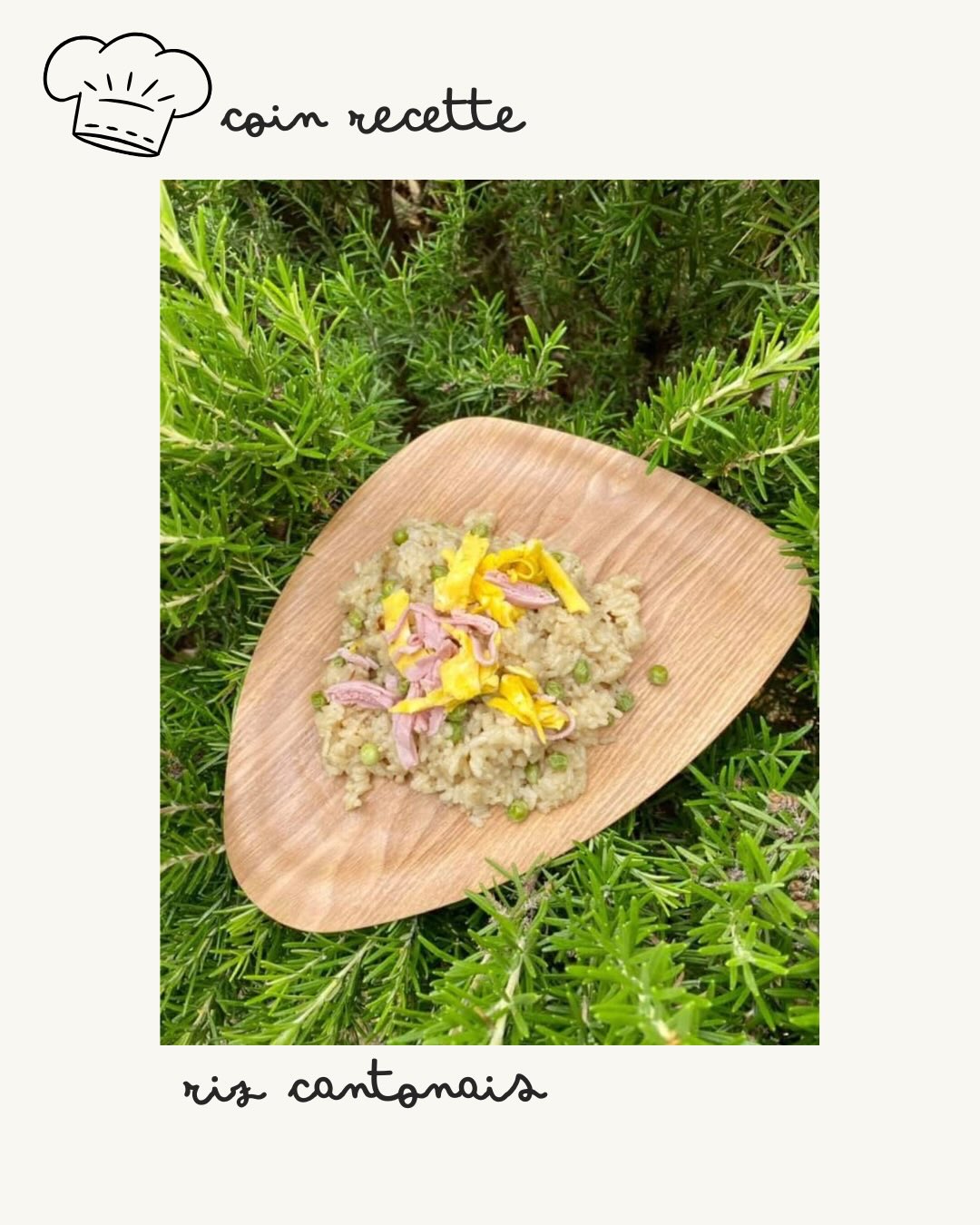 [Coin Recette] RIZ Cantonais